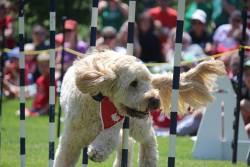Government House Canada Day Celebration